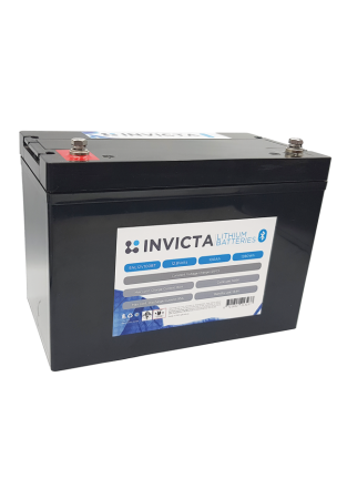 SNL12V100BT(1)Print-650x9328